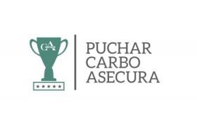Regulamin Pucharu Carbo Asecura 2017
